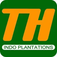 12. PT TH INDO PLANTATIONS