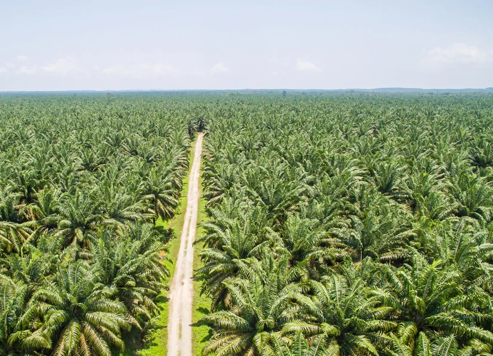 PT Tristar International