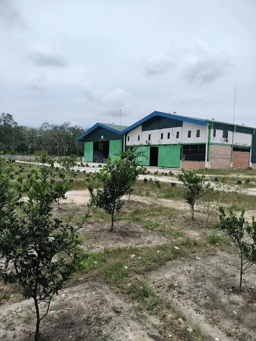 PT Bursatani Futura Andyta